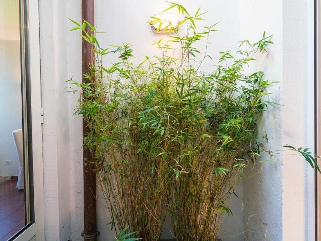 Garibaldi Roof Garden Διαμέρισμα Ρώμη Εξωτερικό φωτογραφία